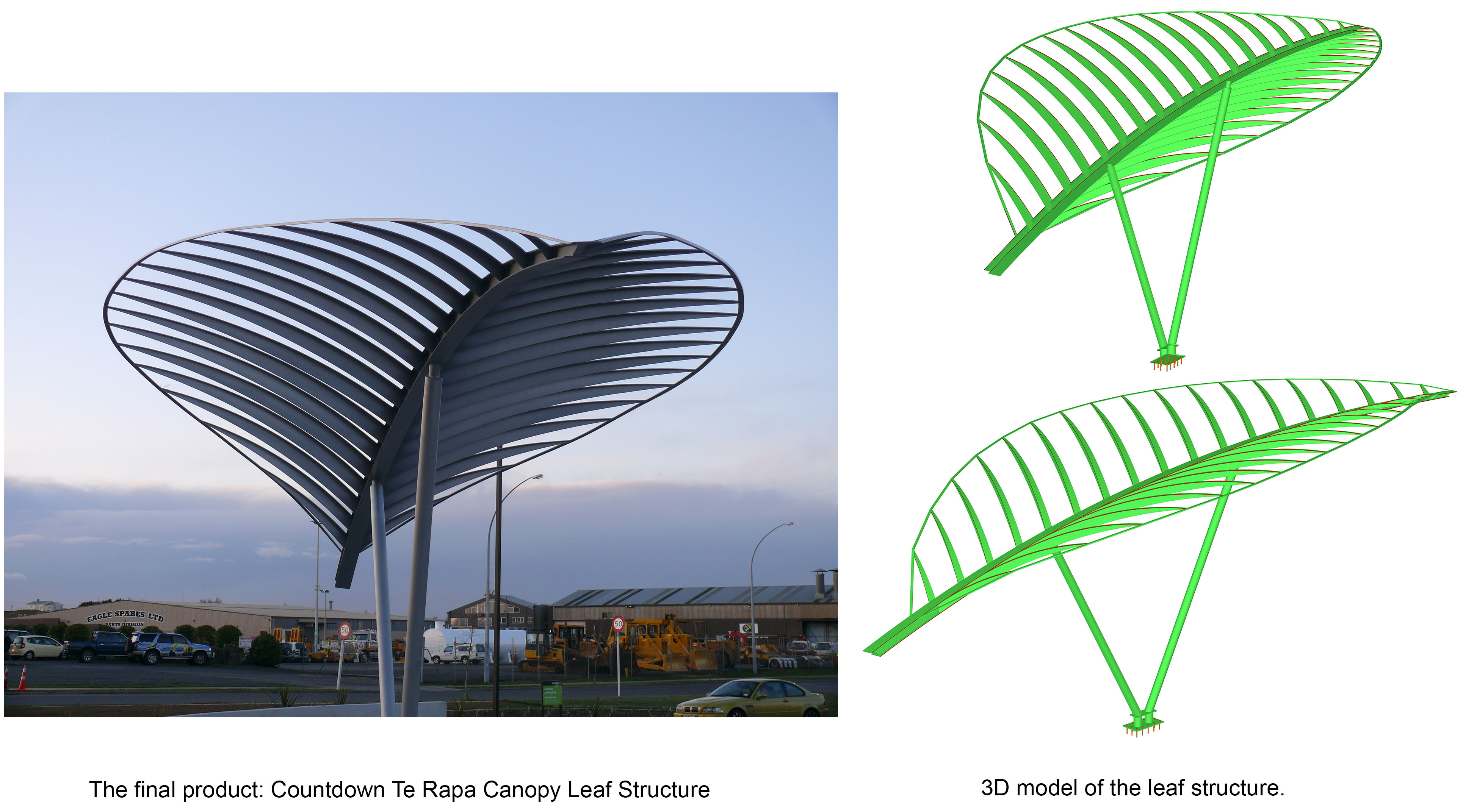 Canopy Leaf Structure Cd Te Rapa Project Kcl Engineering